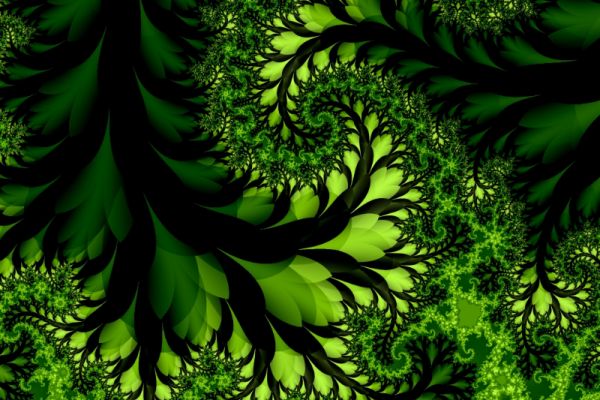 embraced-by-the-vines-of-life103B428C-7860-E047-06DF-EF7D32EB70D8.jpg